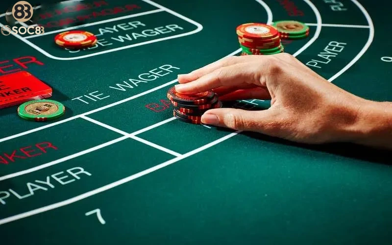 Dự đoán các quân bài sẽ xuất hiện tiếp theo
