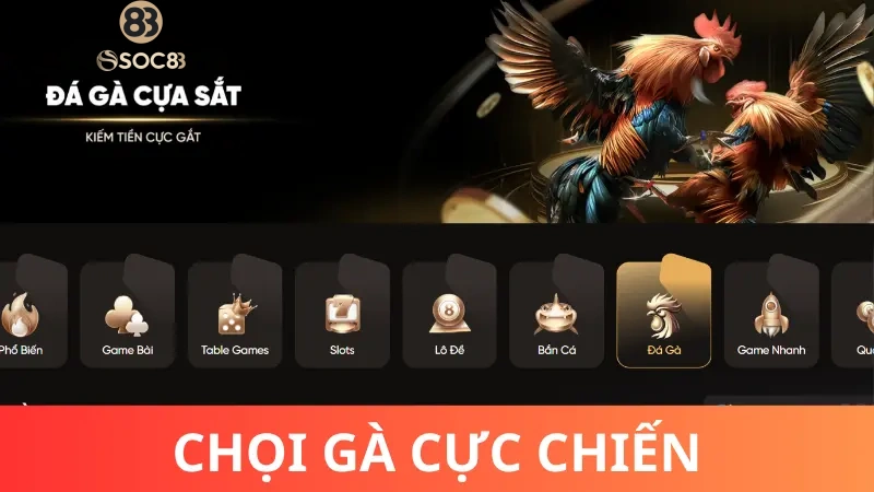 Làm sao để xem những trận gà chọi hay tại Soc88?