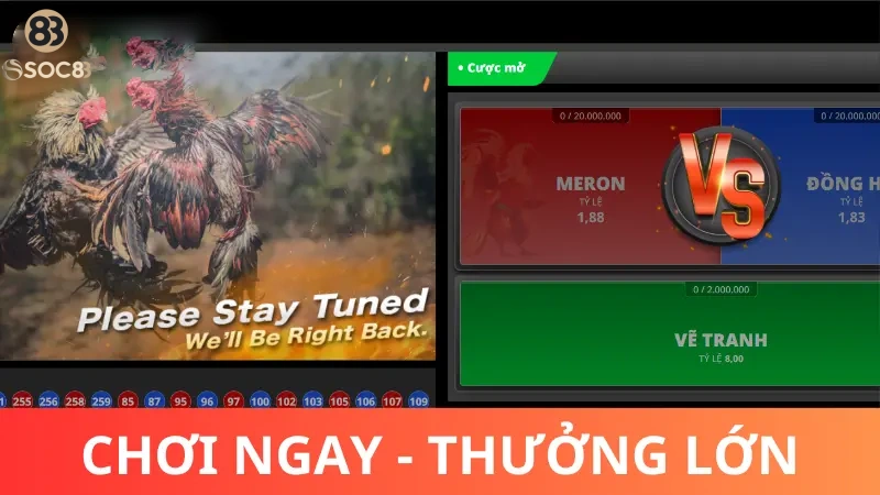 Như thế nào là một trận gà chọi hay?