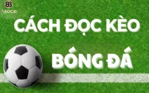 Hiểu rõ cách đọc kèo bóng đá từ A - Z trước khi chơi
