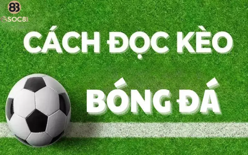 Hiểu rõ cách đọc kèo bóng đá từ A - Z trước khi chơi