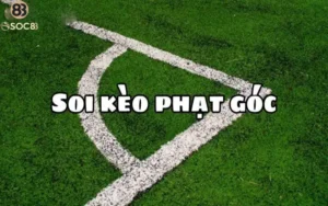 Khám phá kèo đá phạt góc và cách chơi từ A - Z